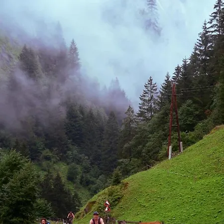 Apartment Ahorn View Mayrhofen