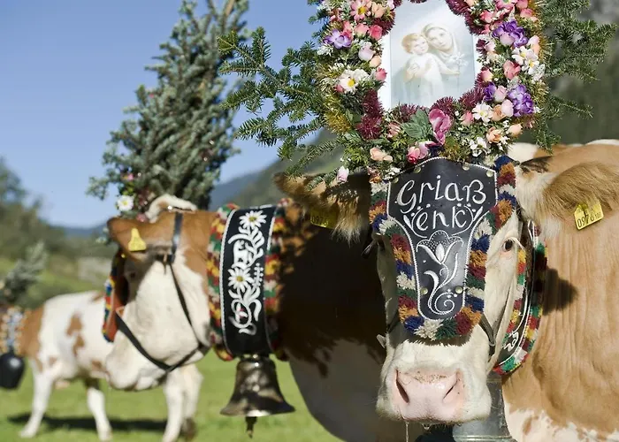 Ahorn View Apartamento